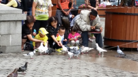 Pigeons at St. Sophia's