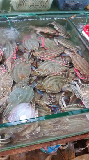 Crabby Crabs